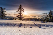 Snowy Winter