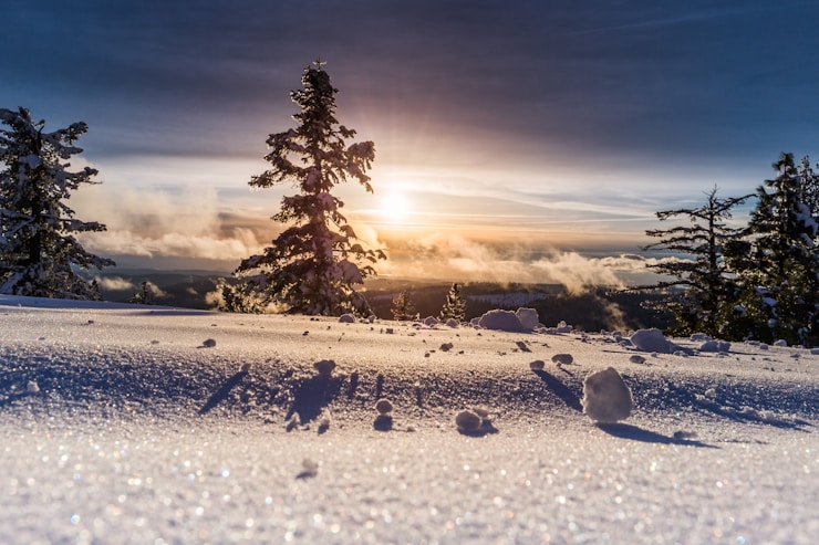 I was driving home from Mammoth Lakes by 88 somewhere near Kirkwood when suddenly after another turn this view has appeared. Not thinking too much I crossed double solids :) and parked on the other side. I left the car and walked in the knee deep snow for like 10 meters further from the road to reach untouched powder and take some nice sunset photos. This was one of them.