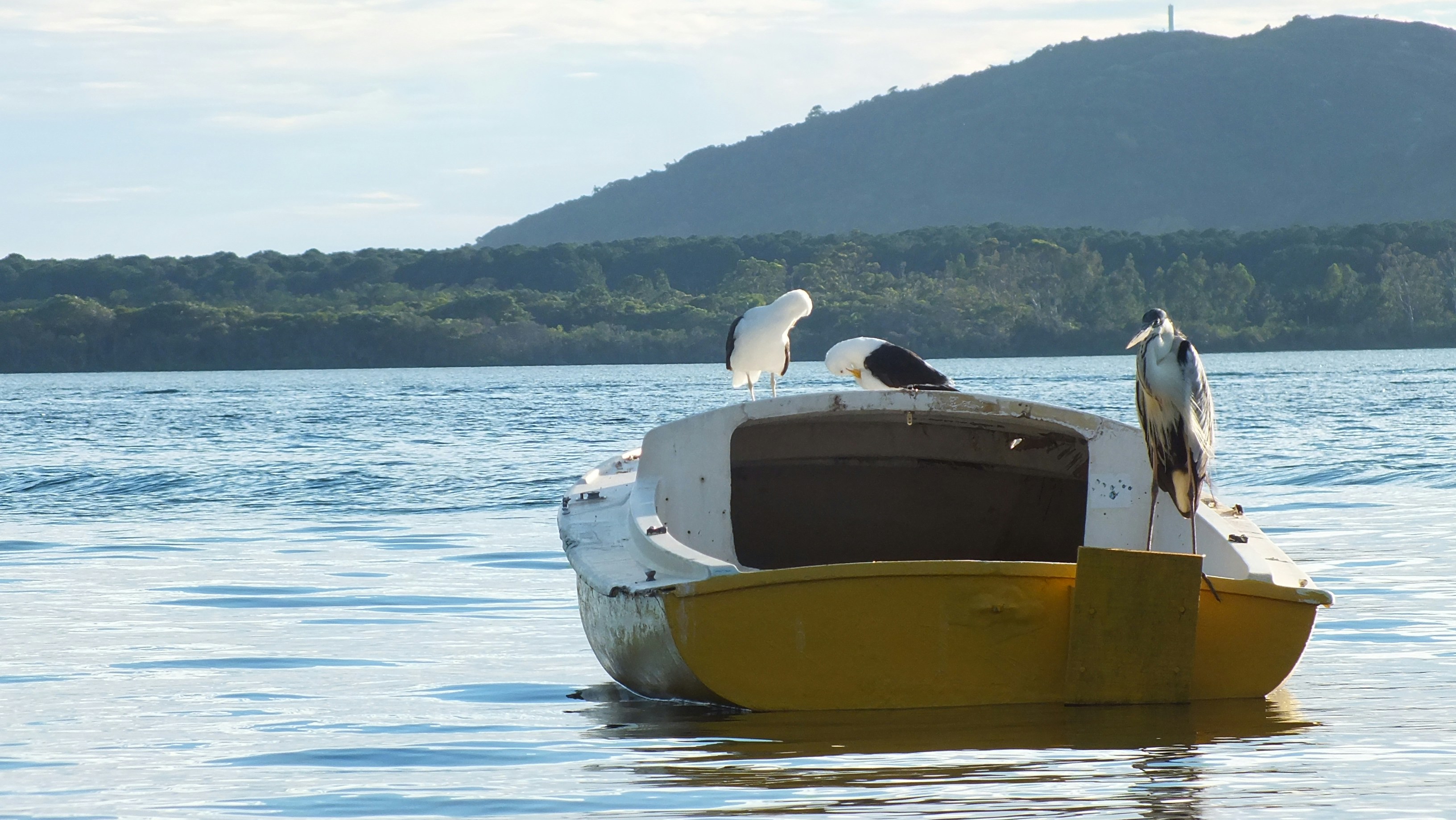 Free Unsplash photo from Polliana Zocche