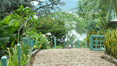 Close-up of a beautifully designed garden pathway with natural stones and tropical plants.