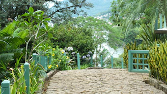 A stone pathway winding through a lush garden with colorful plants.