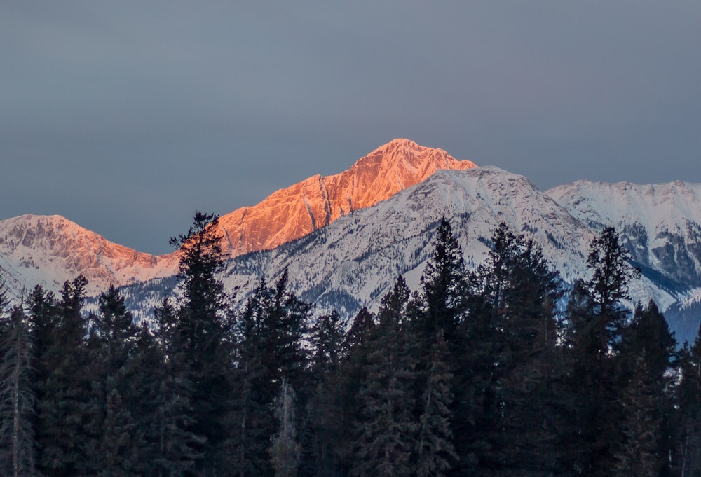 fotografia de paisagem de montanha revestida com neve