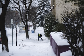 A worker shoveling snow from a sidewalk in front of a cozy house.
