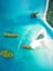 bird's eye view of islands