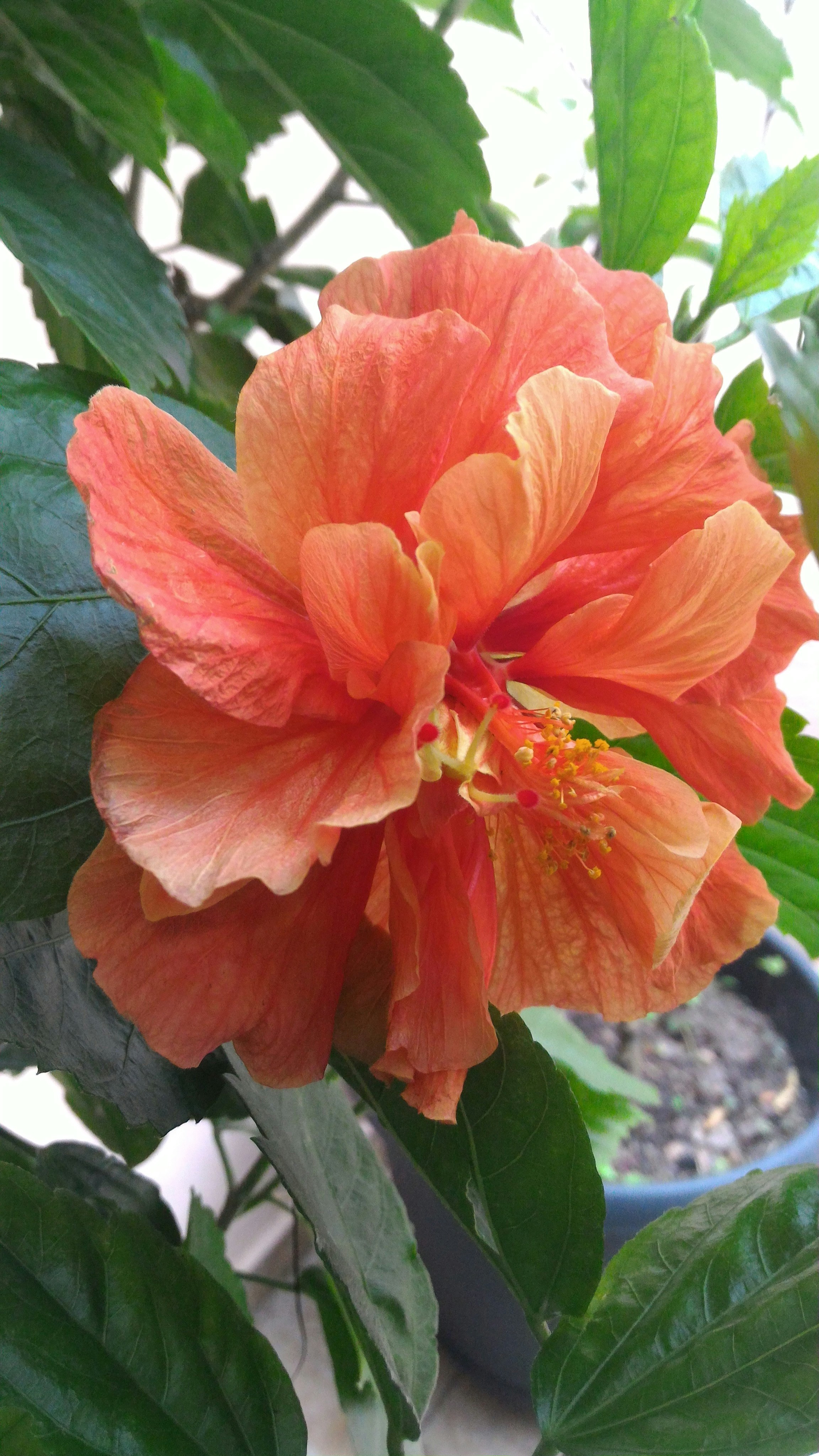 Free Unsplash photo from Edison Ribeiro