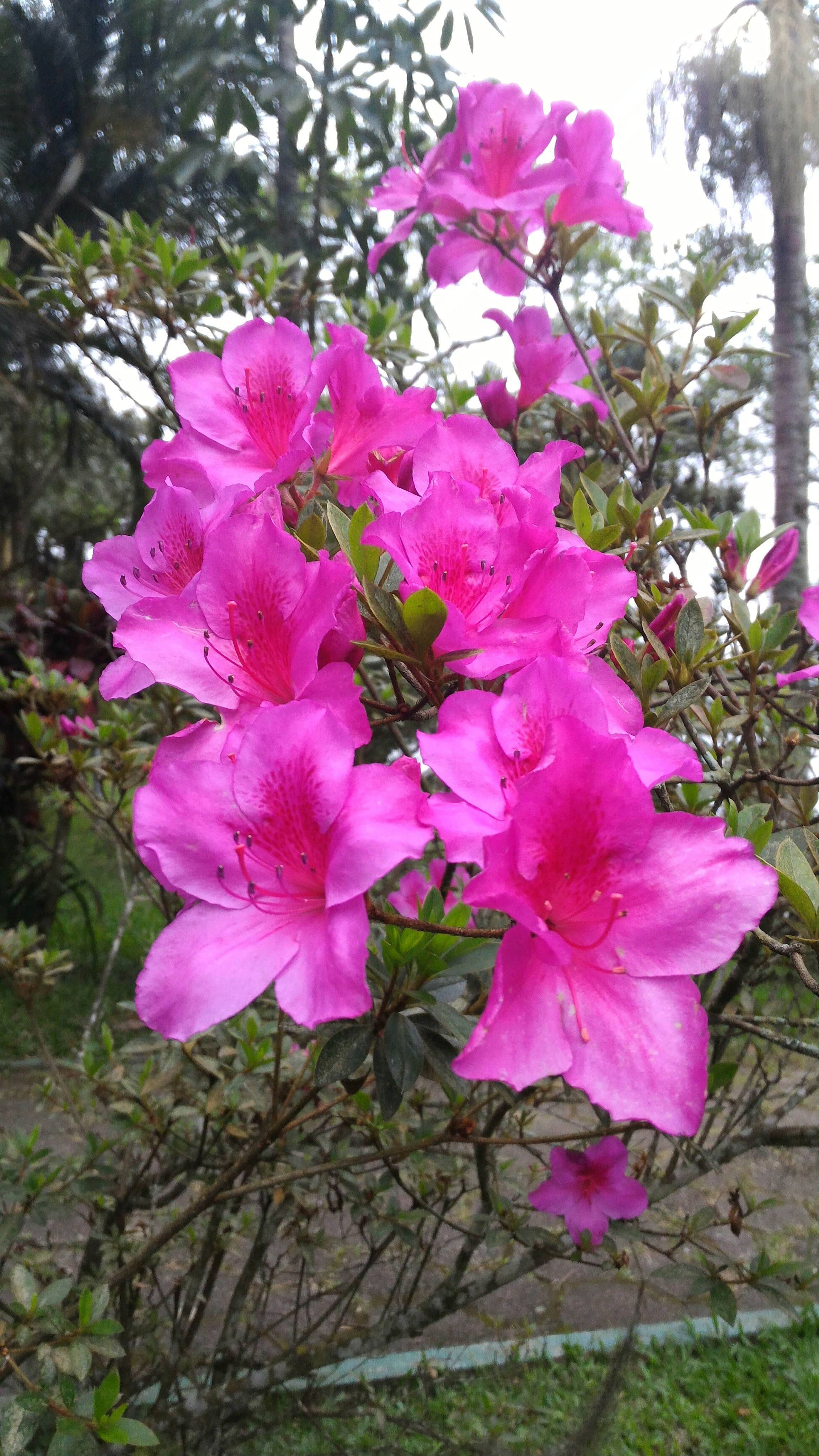 Free Unsplash photo from Edison Ribeiro