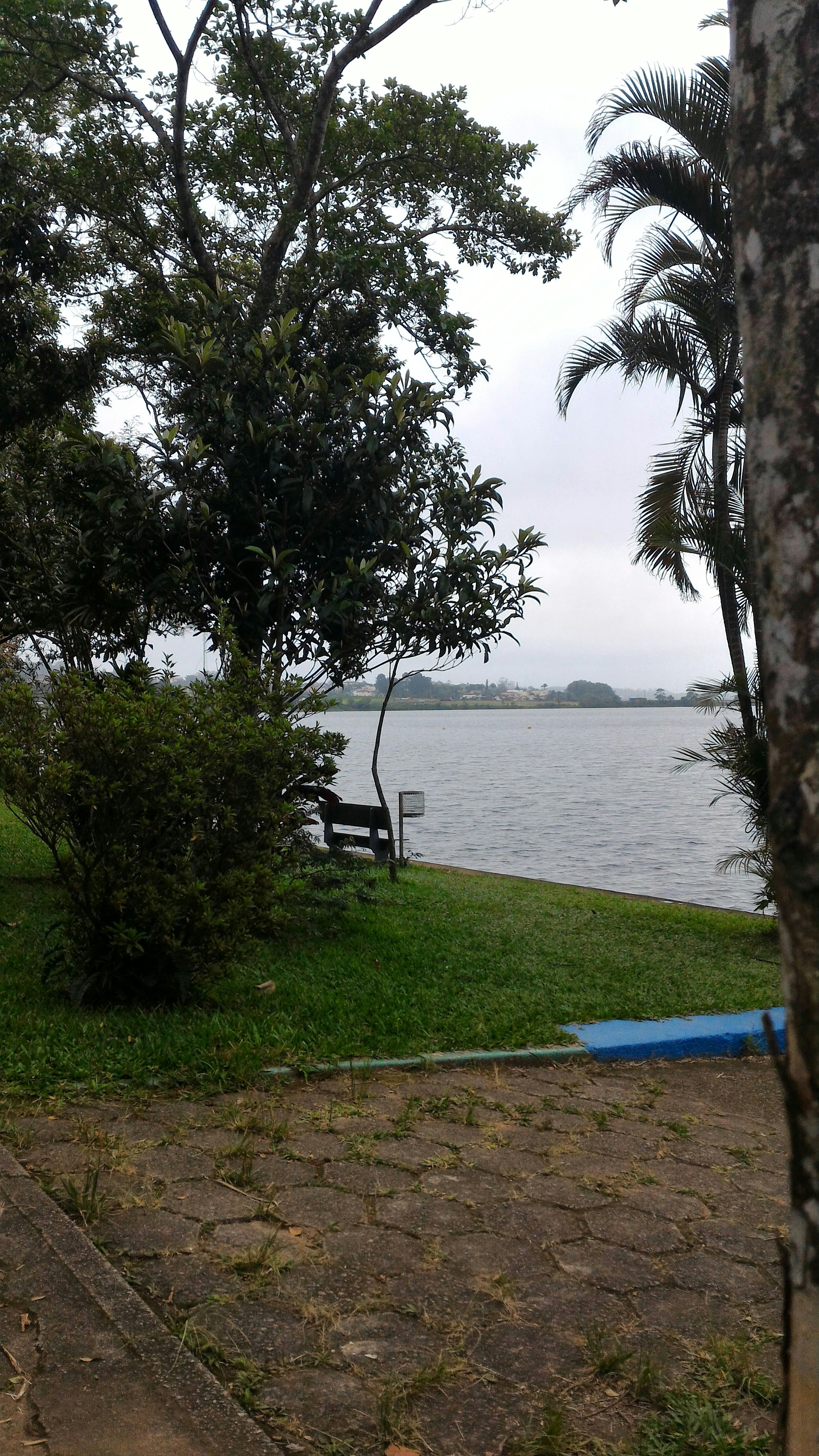 Free Unsplash photo from Edison Ribeiro