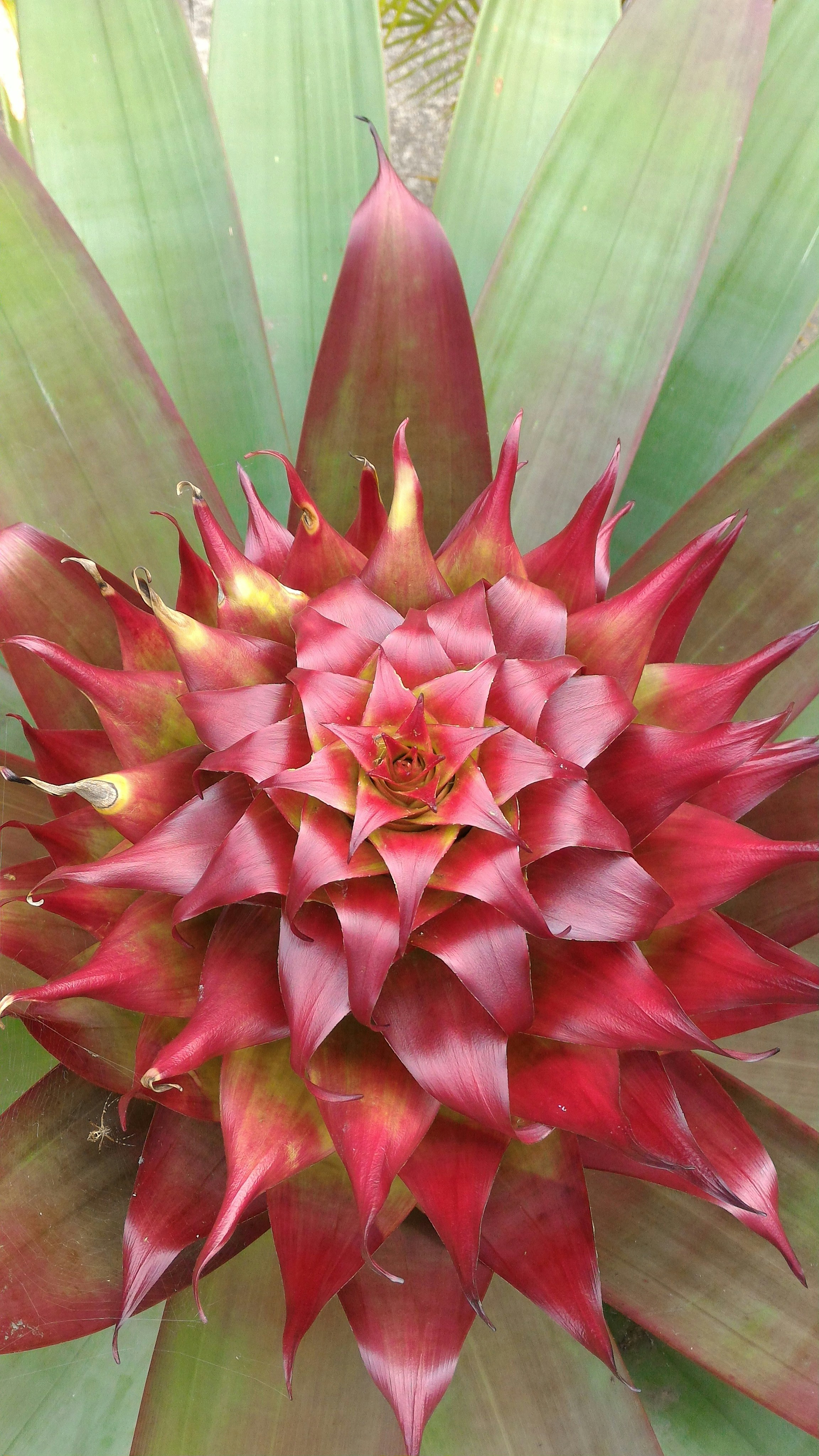 Free Unsplash photo from Edison Ribeiro