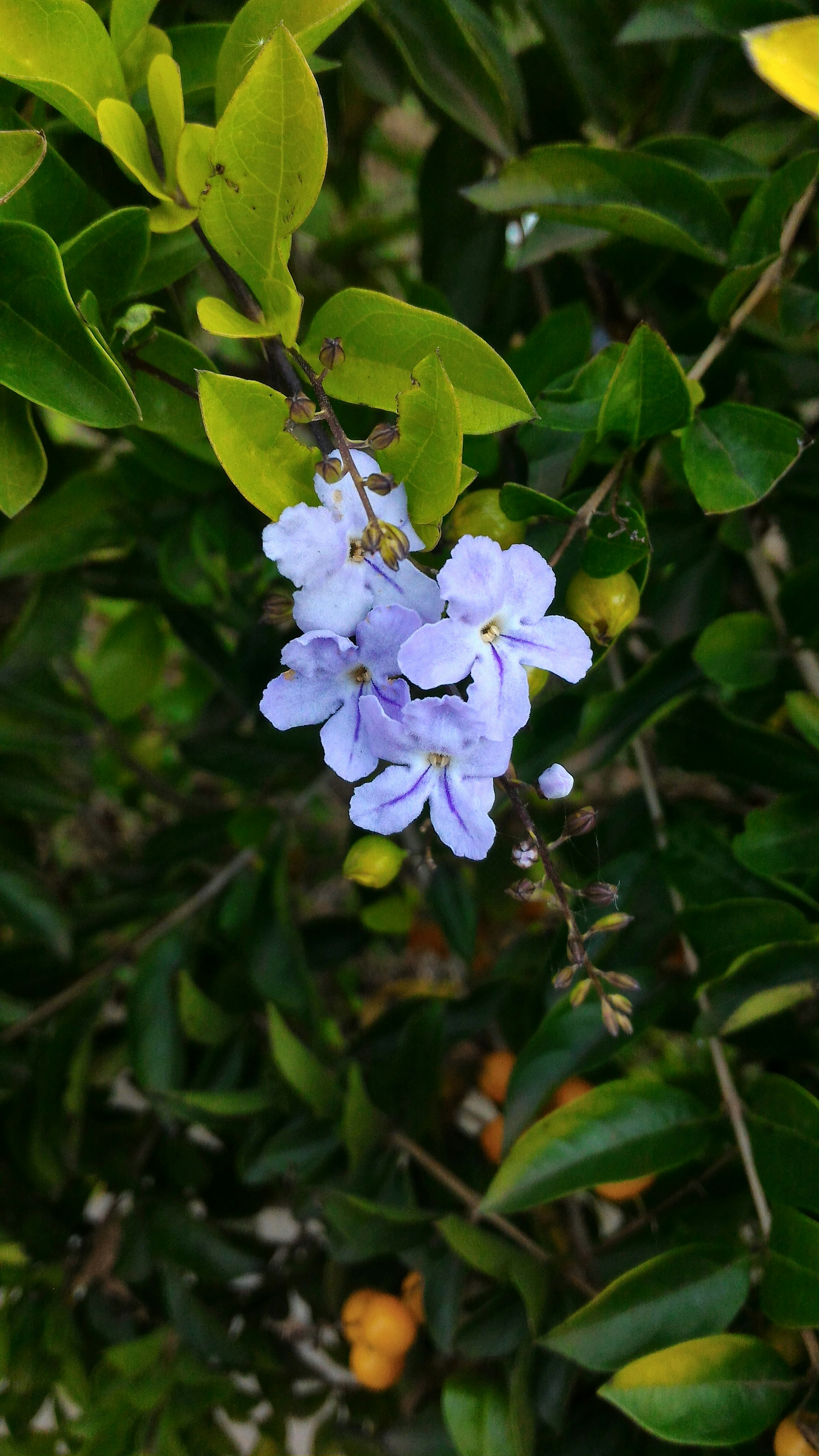 Free Unsplash photo from Edison Ribeiro