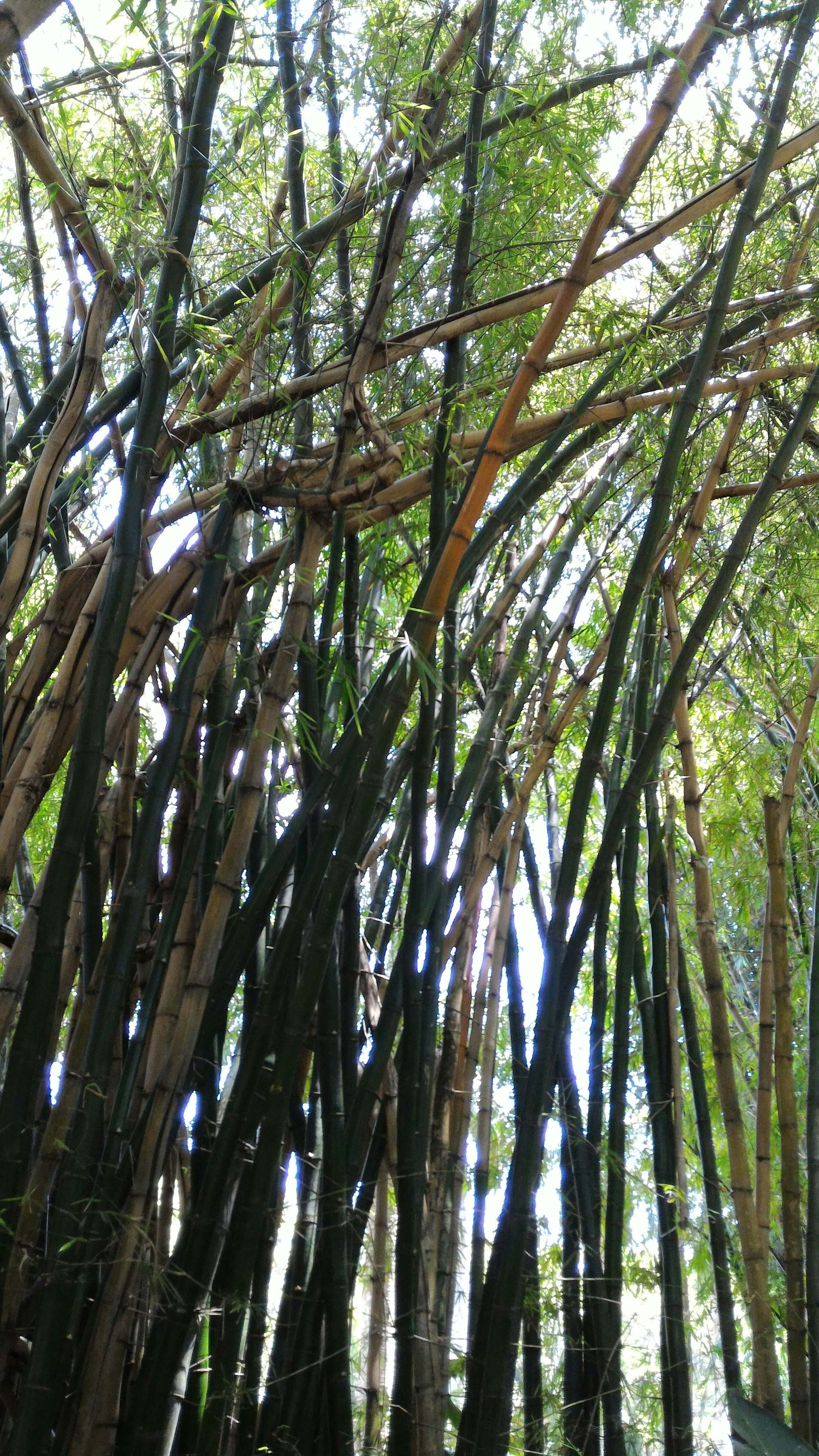 Free Unsplash photo from Edison Ribeiro