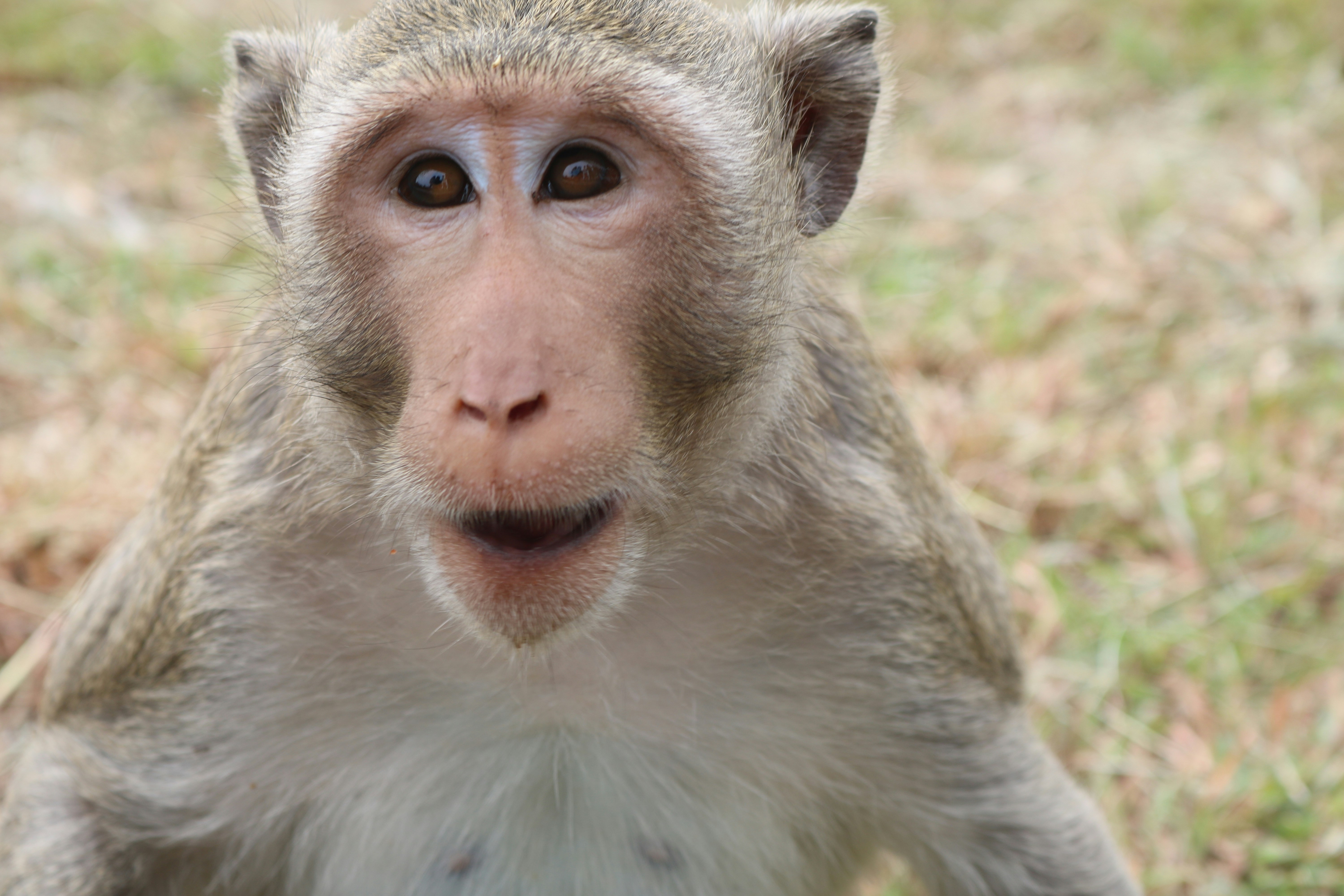 Free Unsplash photo from Hagar Barazani