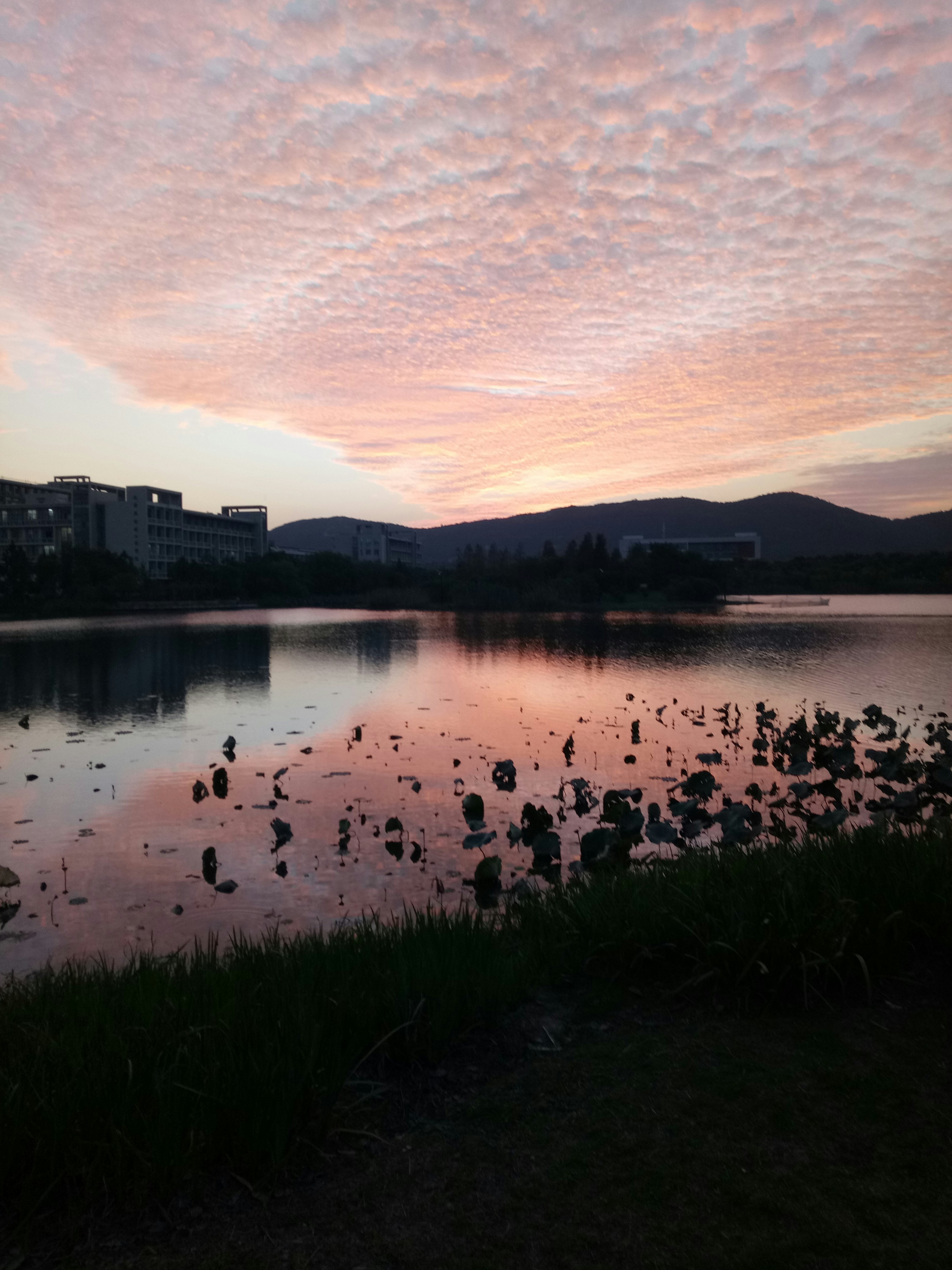 Free Unsplash photo from mm zz