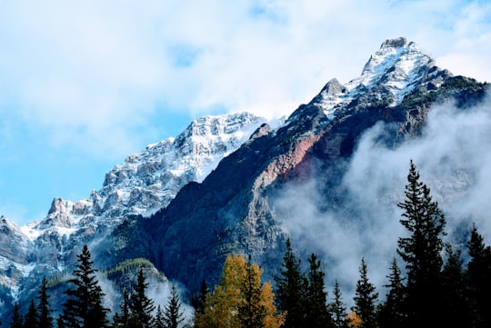 landscape photography of snow covered mountain in Jasper National Park Canada