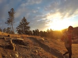 A person is jogging along a trail in a natural landscape during sunset. The trail is lined with dry grass and a few tree stumps. Tall pine trees are seen in the background against a sky filled with scattered clouds, and the sun is near the horizon, casting a warm glow over the scene.