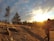 A person is jogging along a trail in a natural landscape during sunset. The trail is lined with dry grass and a few tree stumps. Tall pine trees are seen in the background against a sky filled with scattered clouds, and the sun is near the horizon, casting a warm glow over the scene.