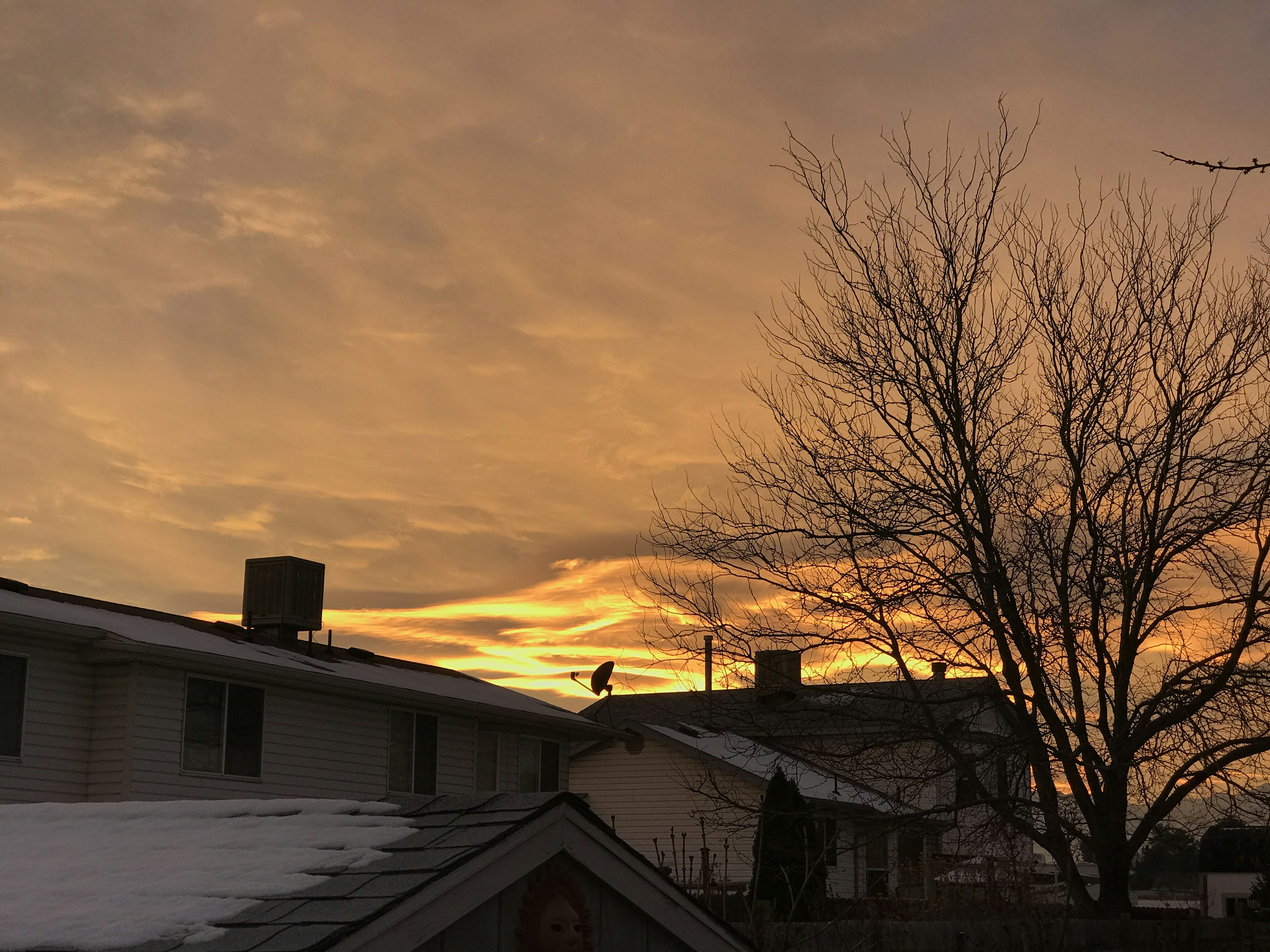 Free Unsplash photo from Jason Porter