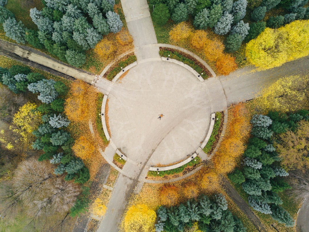 round brown field surrounded by trees painting