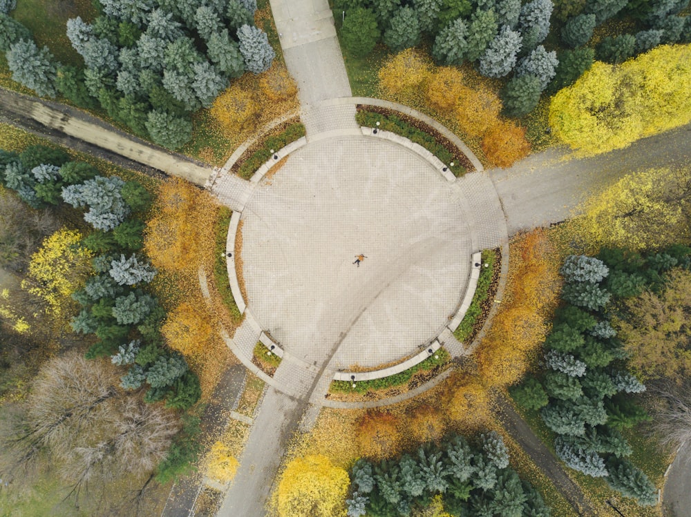 round brown field surrounded by trees painting