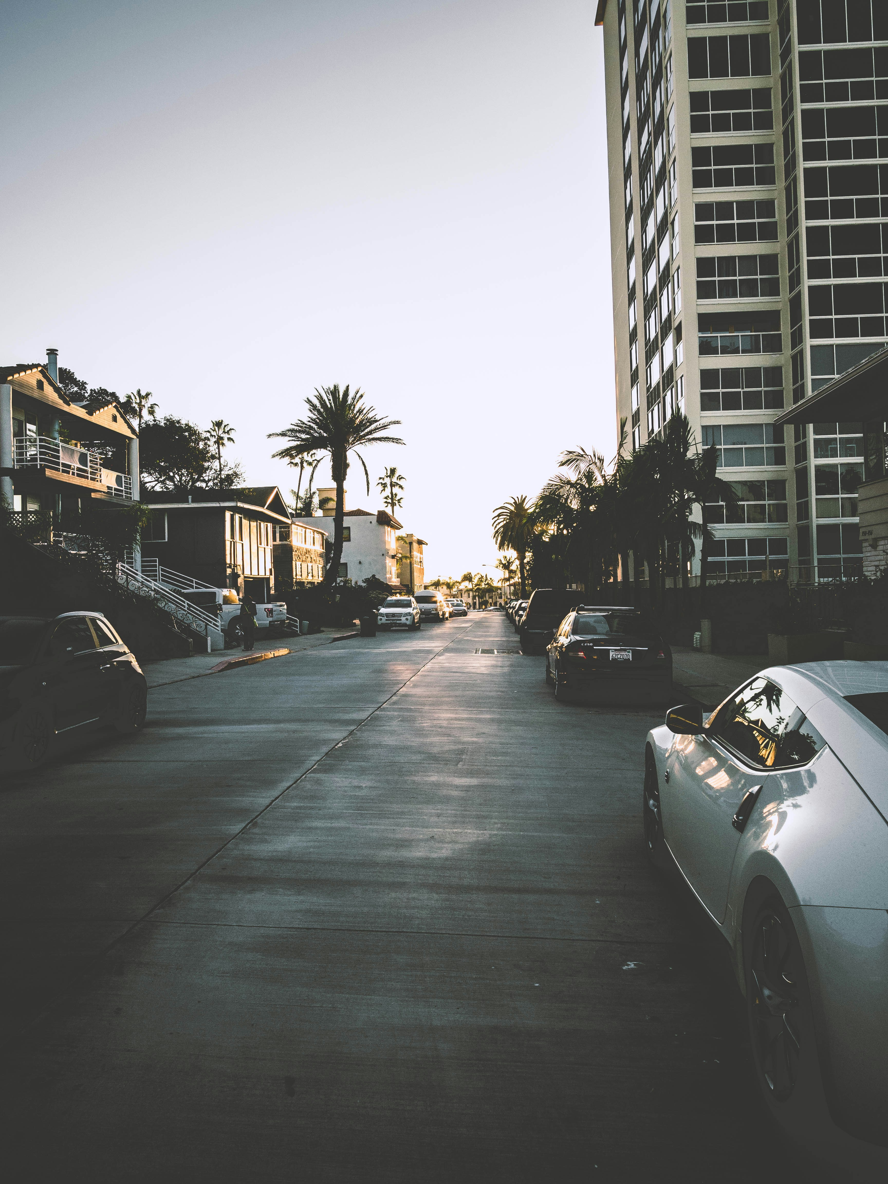 Free Unsplash photo from Aidan Brown