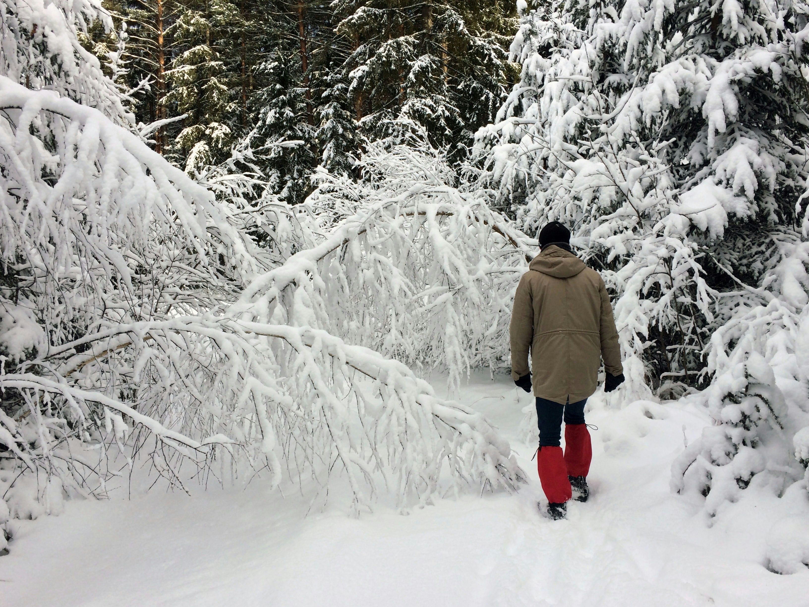 Free Unsplash photo from Susanne Senft