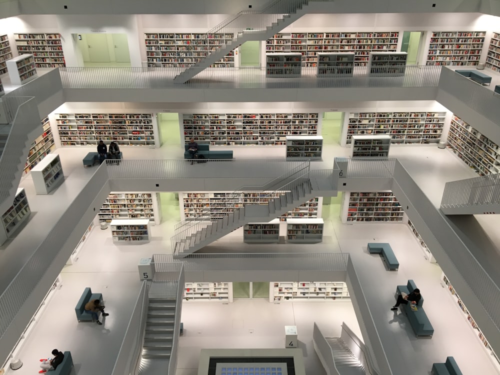 architectural photography of library