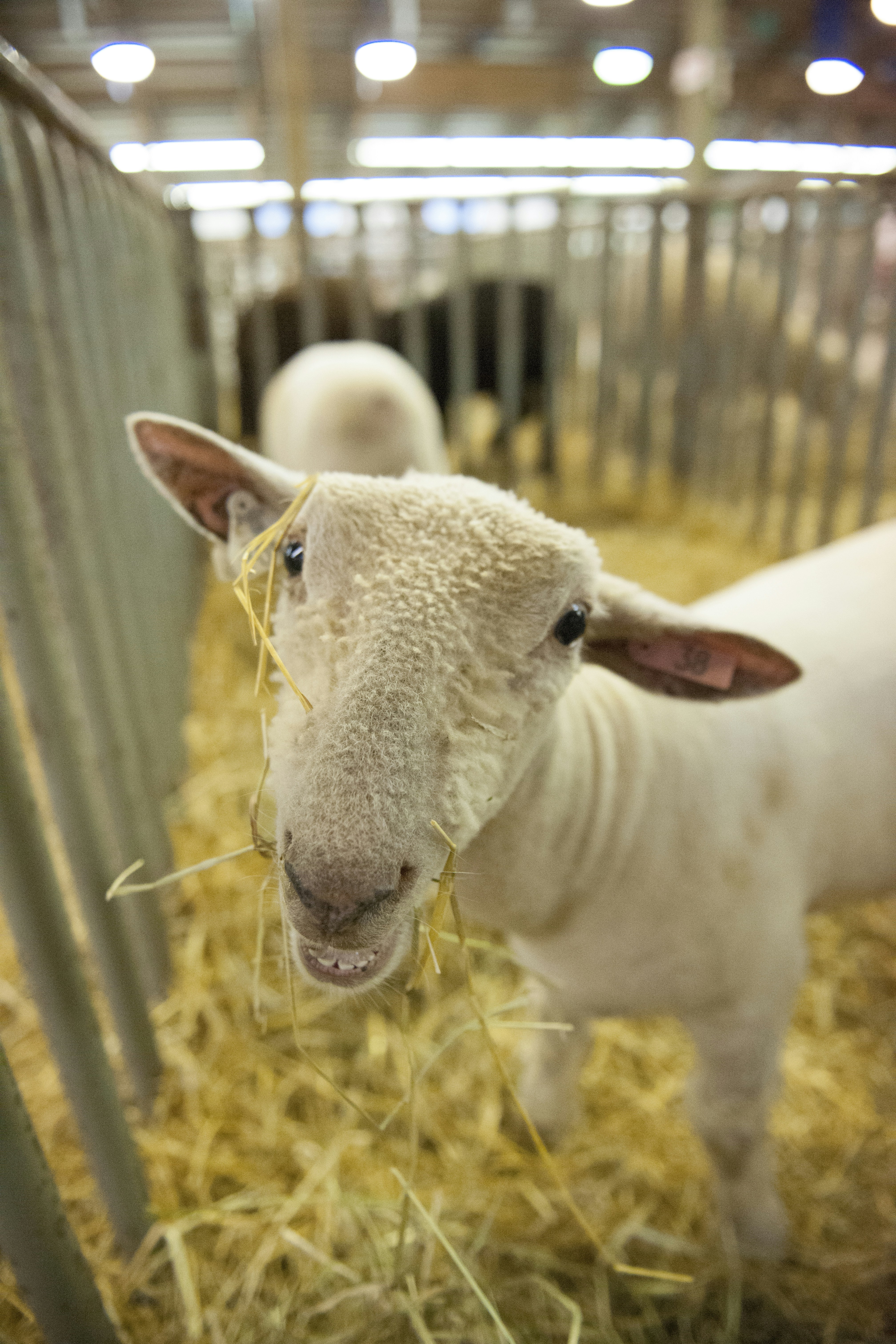 Free Unsplash photo from Matthew Pilachowski