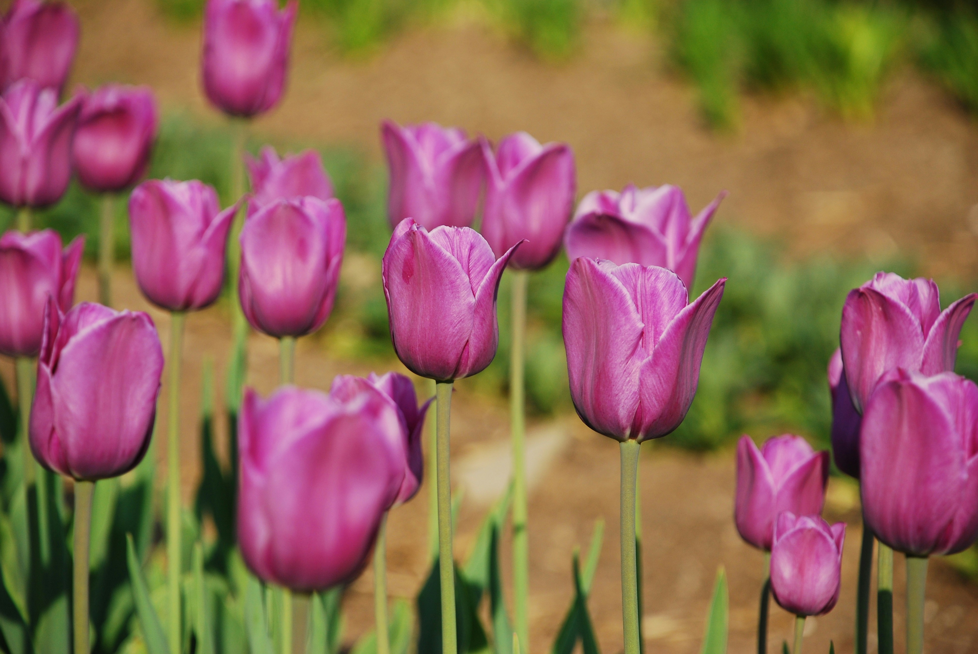 Free Unsplash photo from Matthew Pilachowski