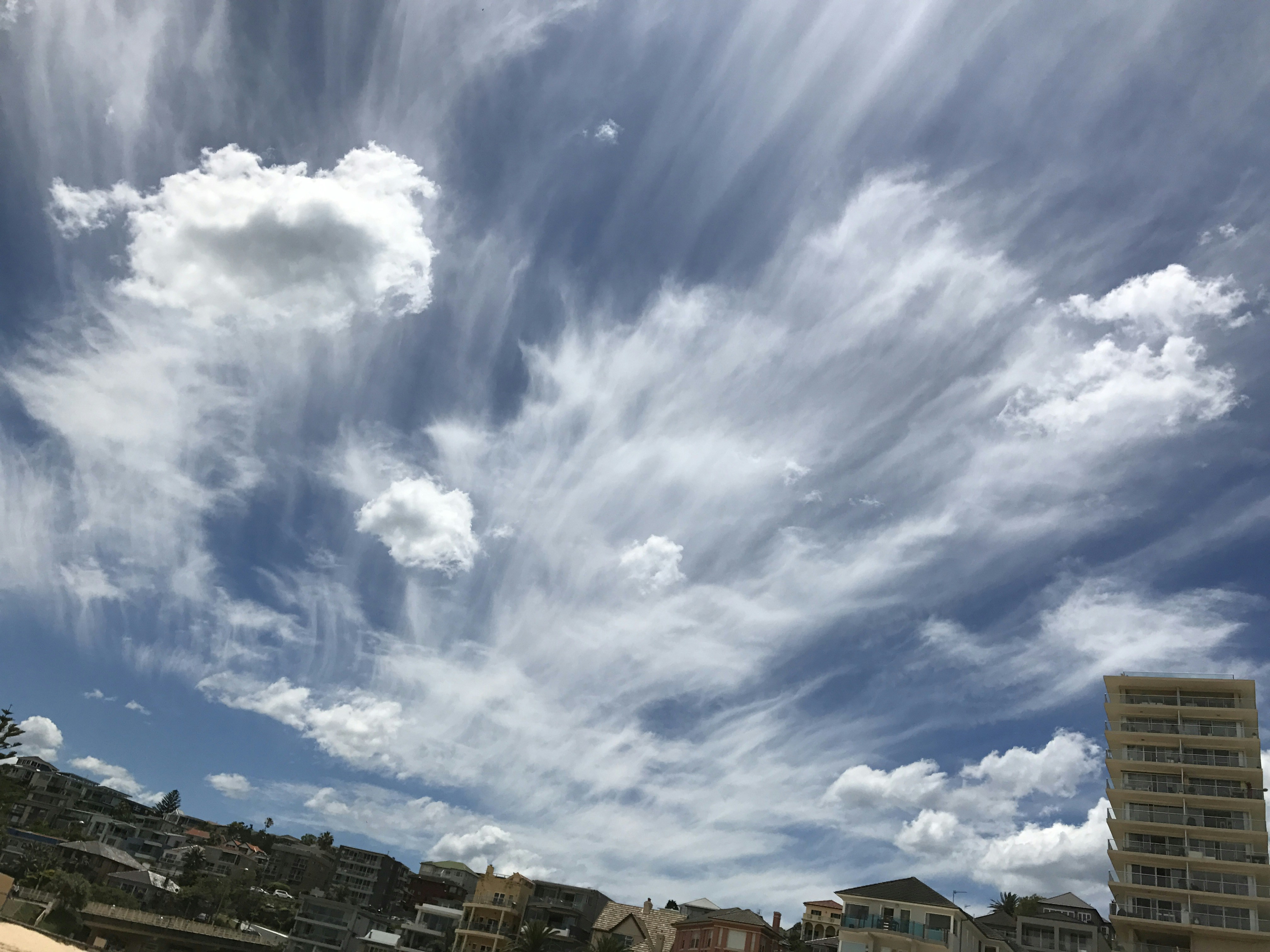 Free Unsplash photo from Scott Nicholas