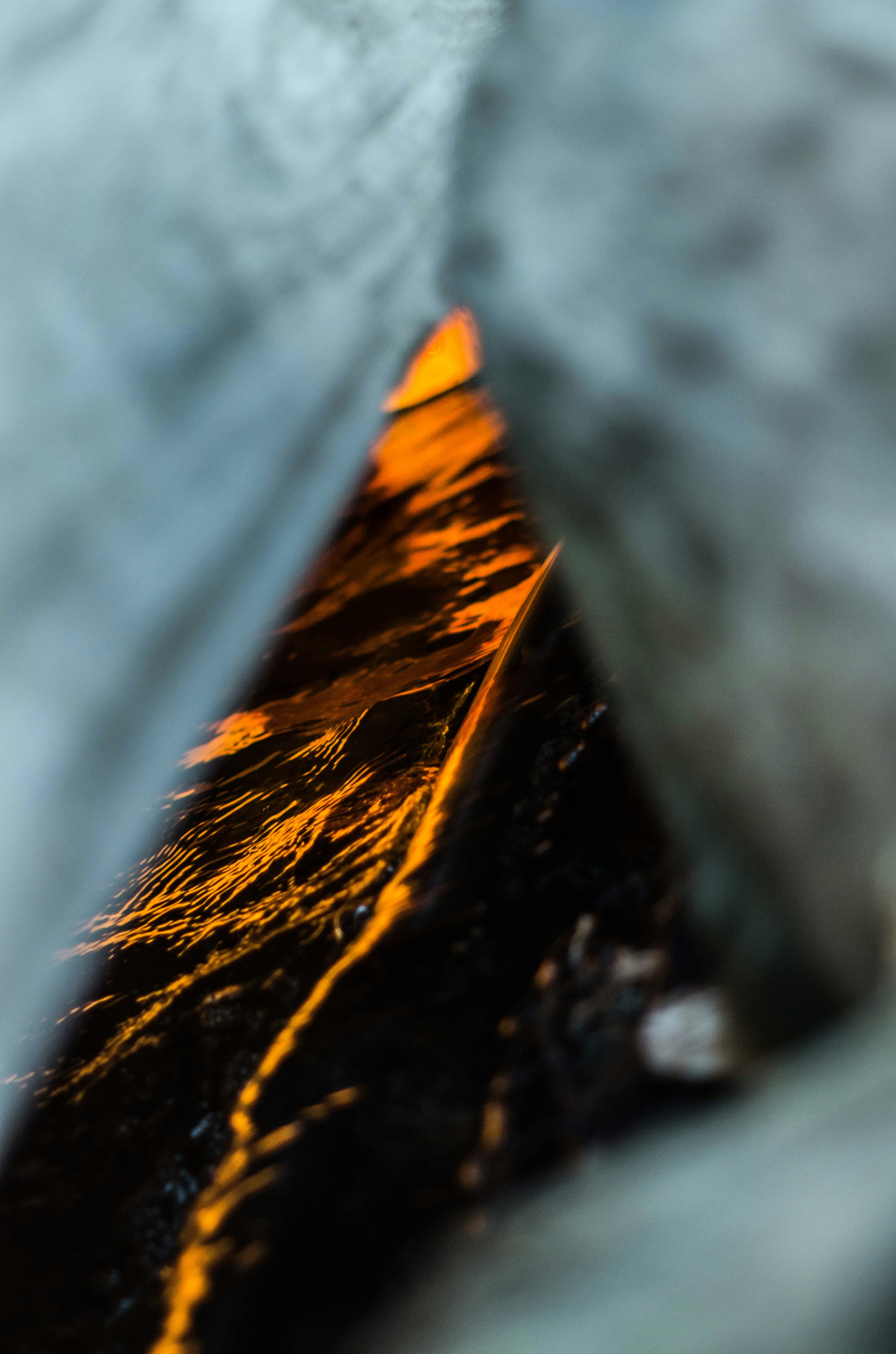 Free Unsplash photo from Nozomi Yamashita