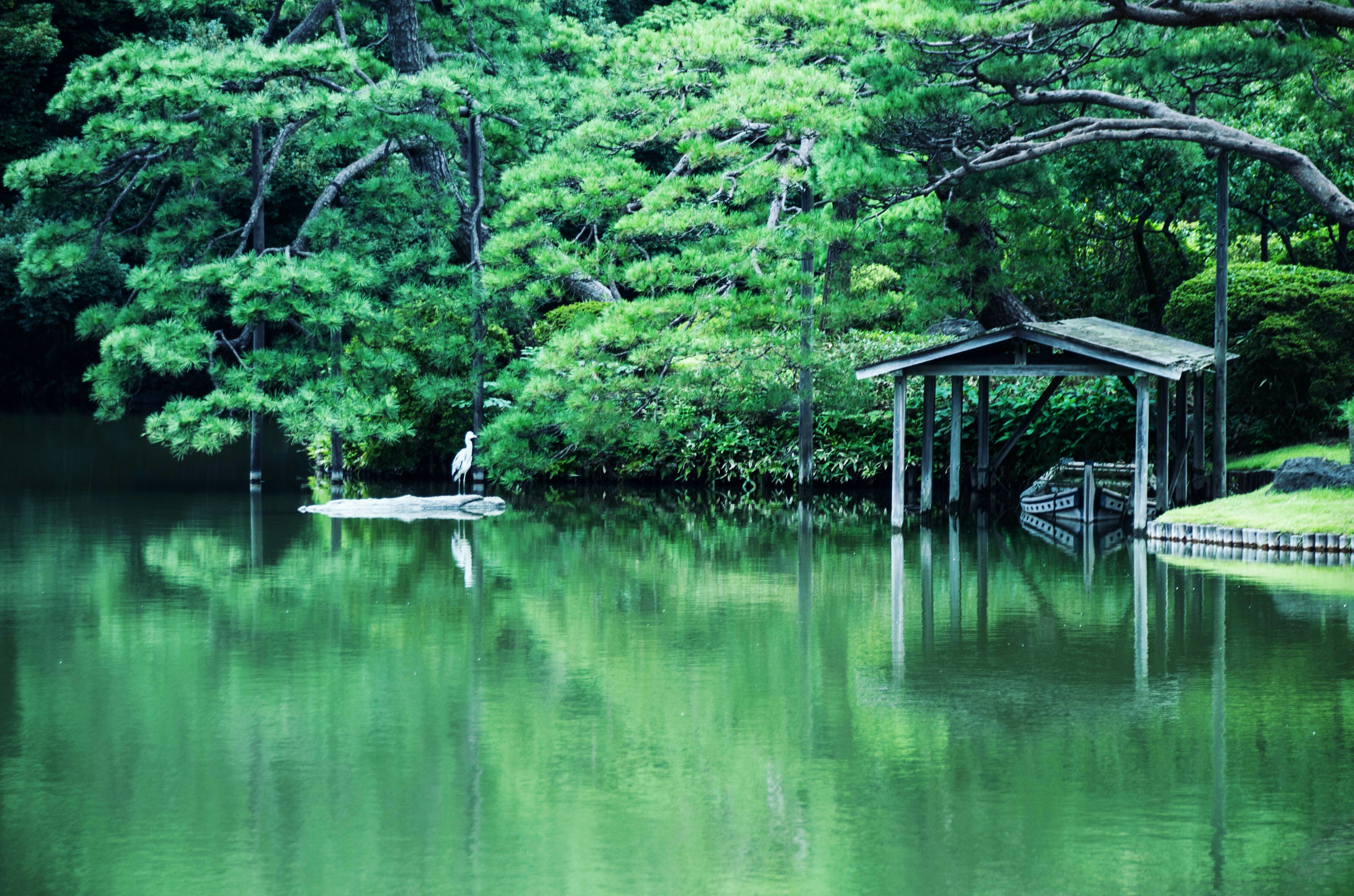 Free Unsplash photo from Nozomi Yamashita