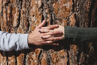 supportive hands connecting around a tree trunk