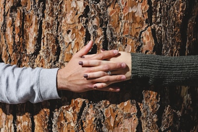 supportive hands connecting around a tree trunk