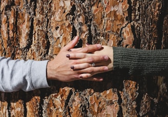 man and woman hand connecting on tree trunk