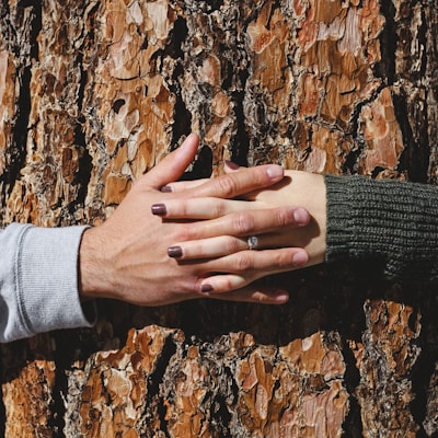 man and woman hand connecting on tree trunk