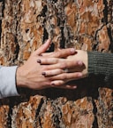 man and woman hand connecting on tree trunk