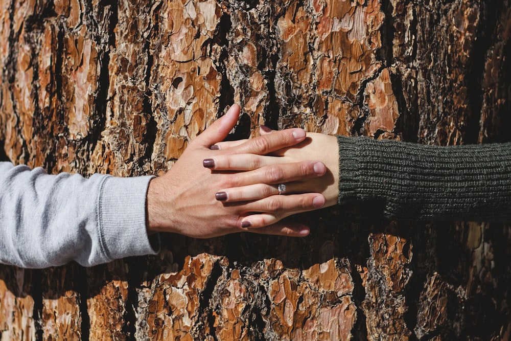 man and woman hand connecting on tree trunk