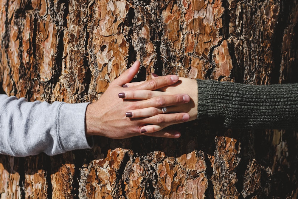 Mano dell'uomo e della donna che si collegano sul tronco d'albero