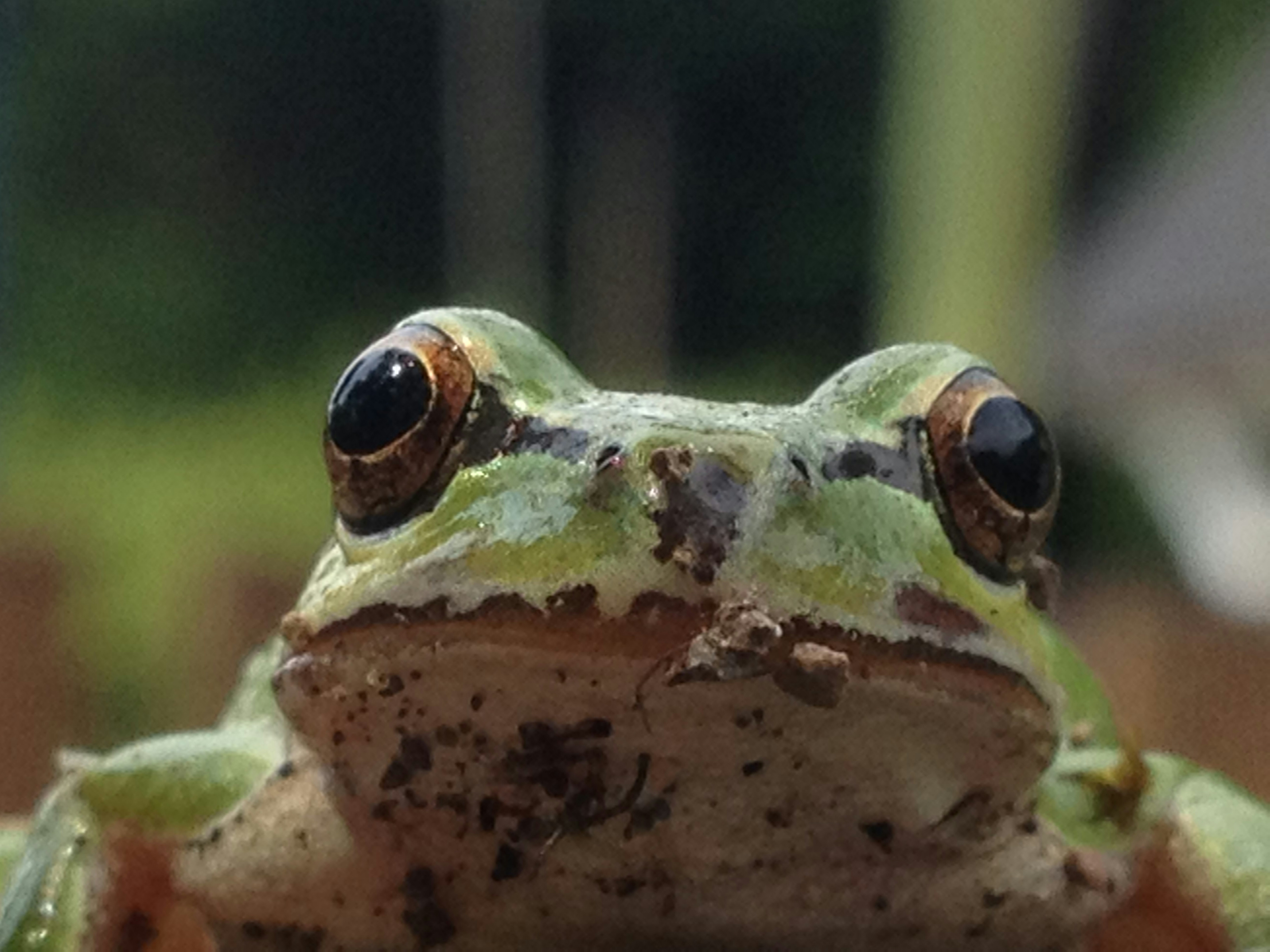 Free Unsplash photo from Nadia Noodle