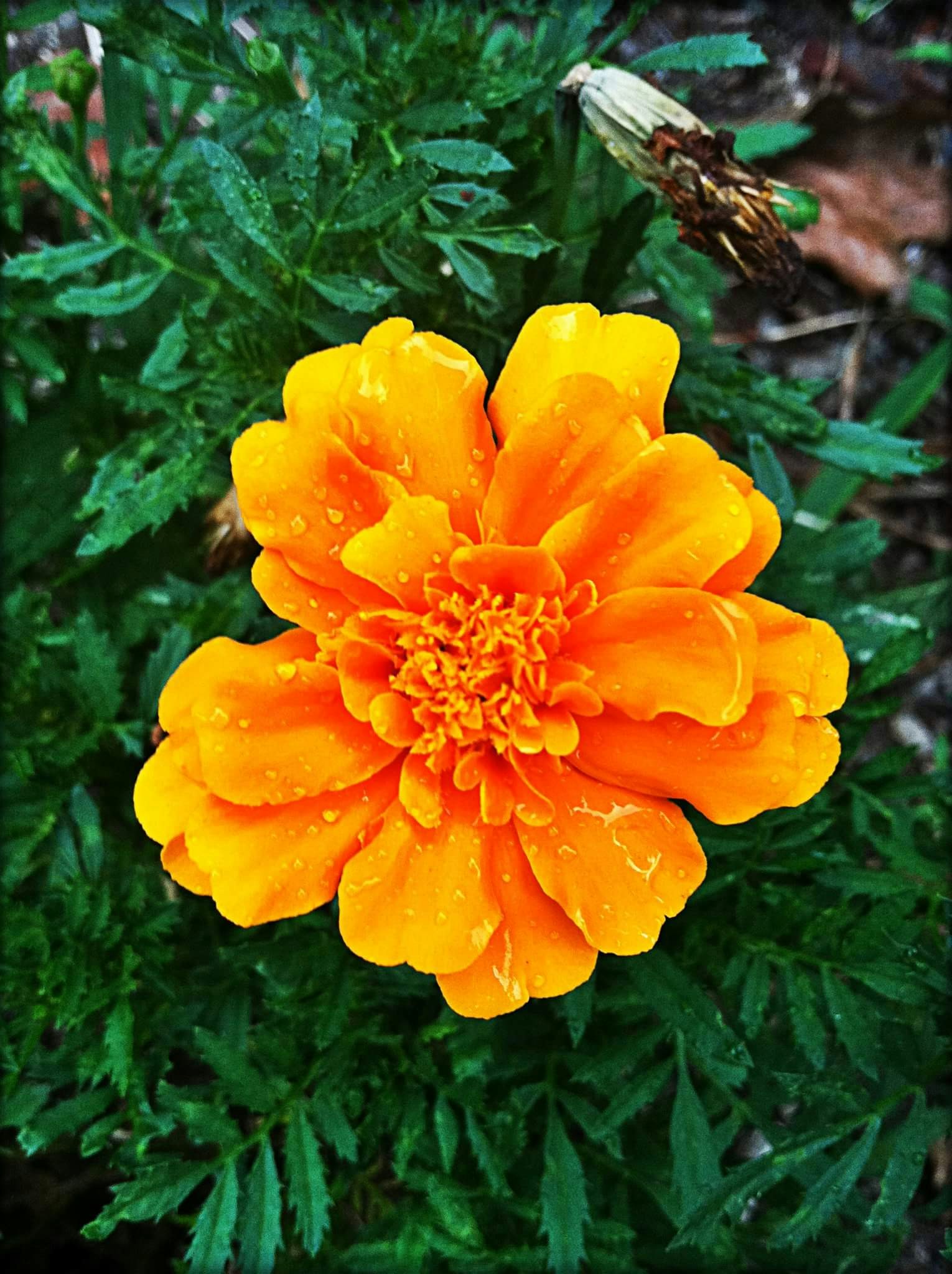 Free Unsplash photo from Emily King