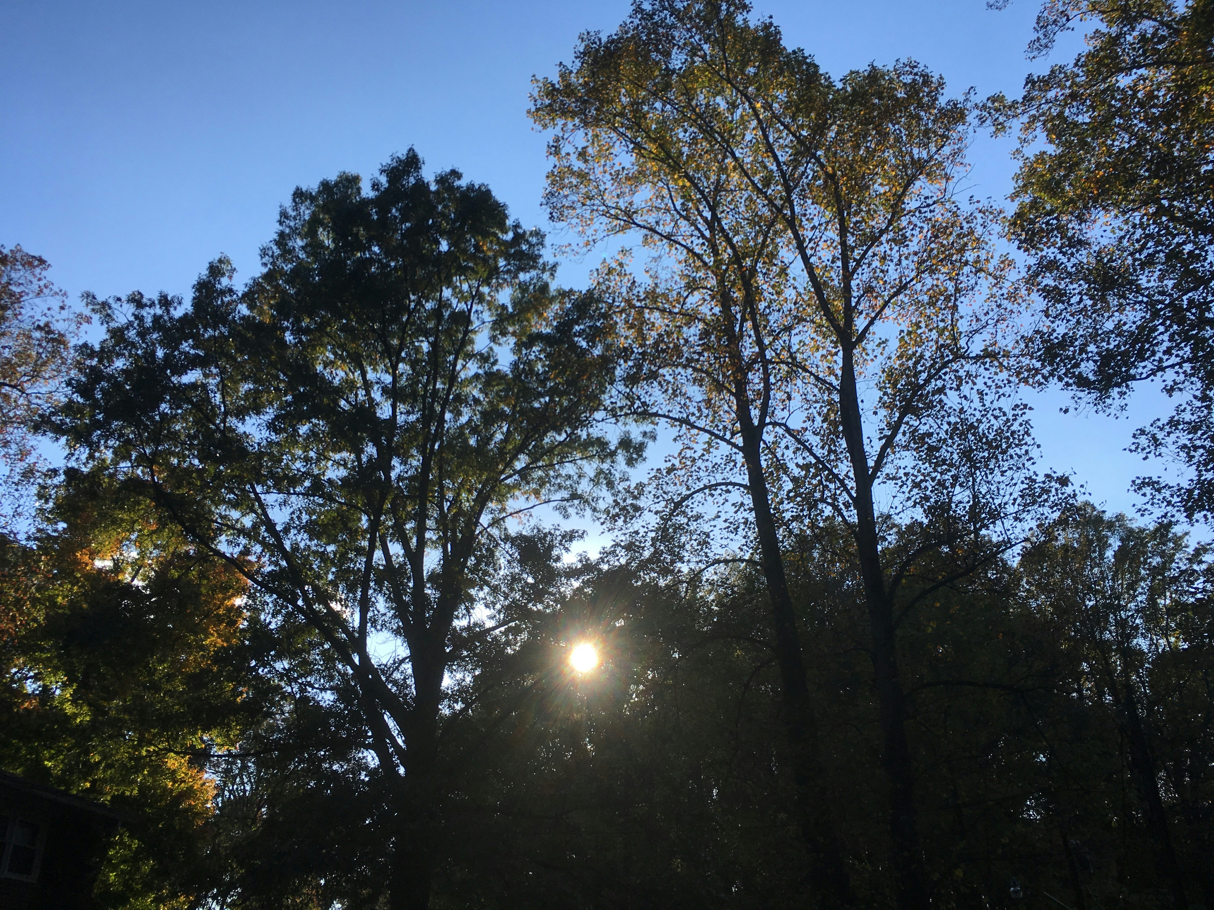 Free Unsplash photo from Emily King