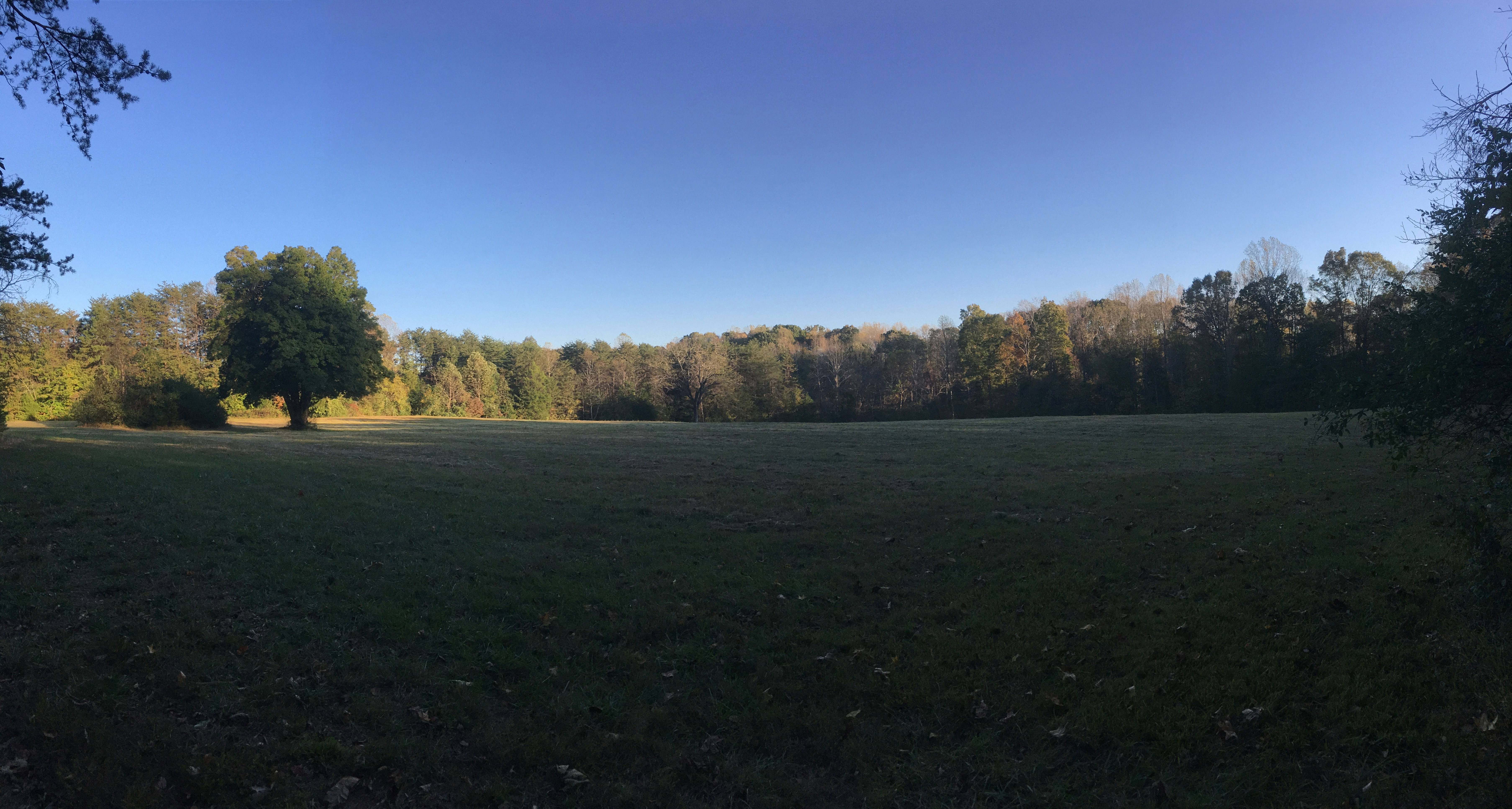 Free Unsplash photo from Emily King