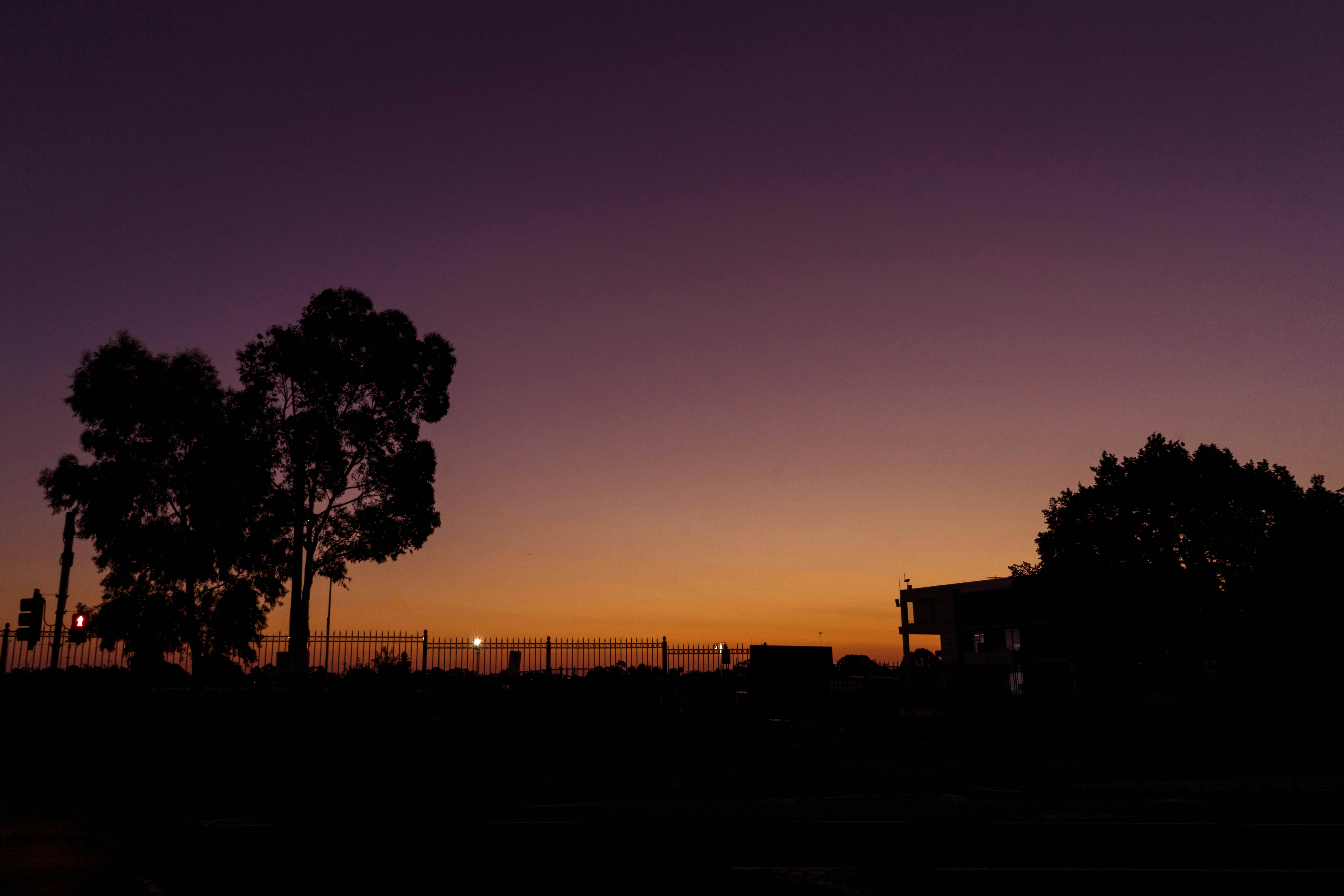 Free Unsplash photo from Aradhika Sharma