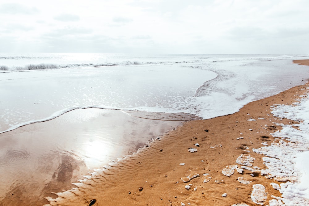 arena marrón cerca del cuerpo de agua durante el día