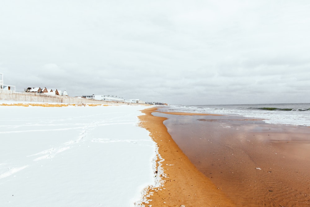 people on beach during daytime