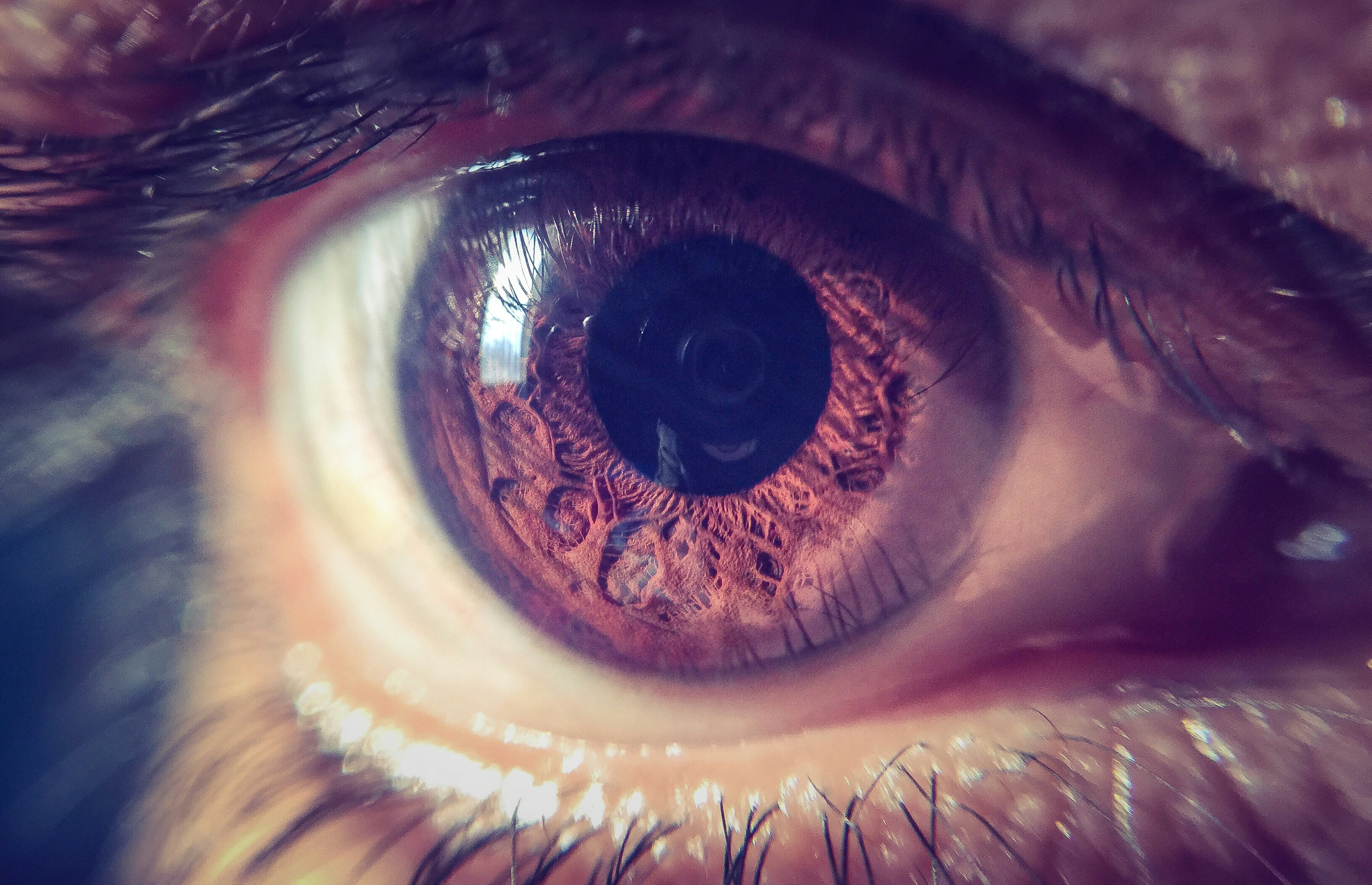 Free Unsplash photo from Devendra Mishra