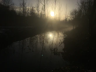 A serene sunrise over a quiet riverbank symbolizing spiritual awakening.