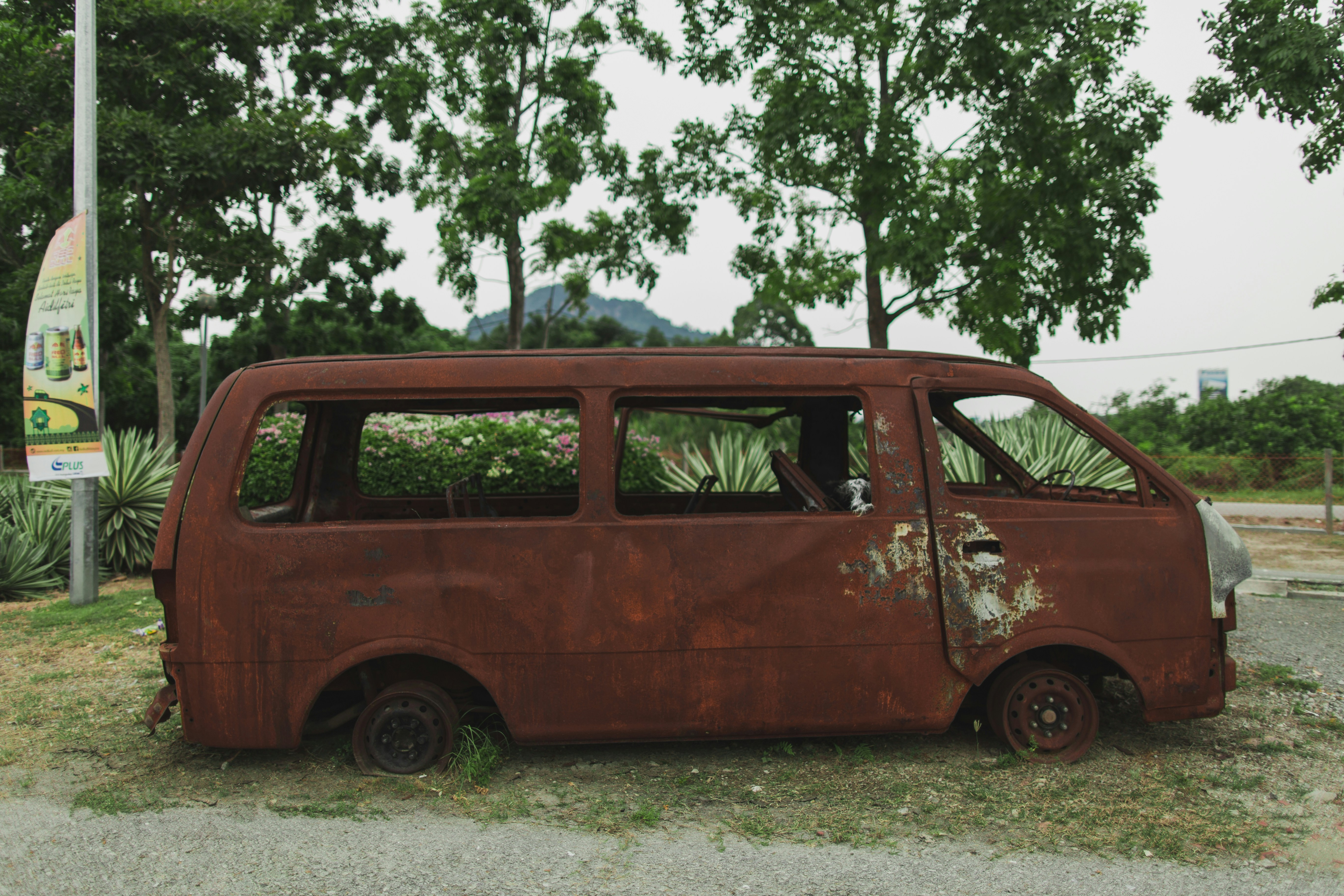 Free Unsplash photo from syml nzr