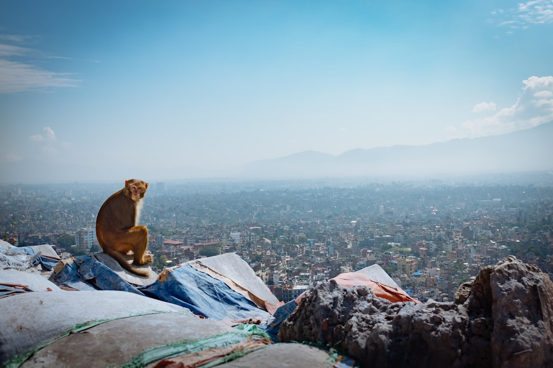 Summit photo spot Swayambhunath Annapurna