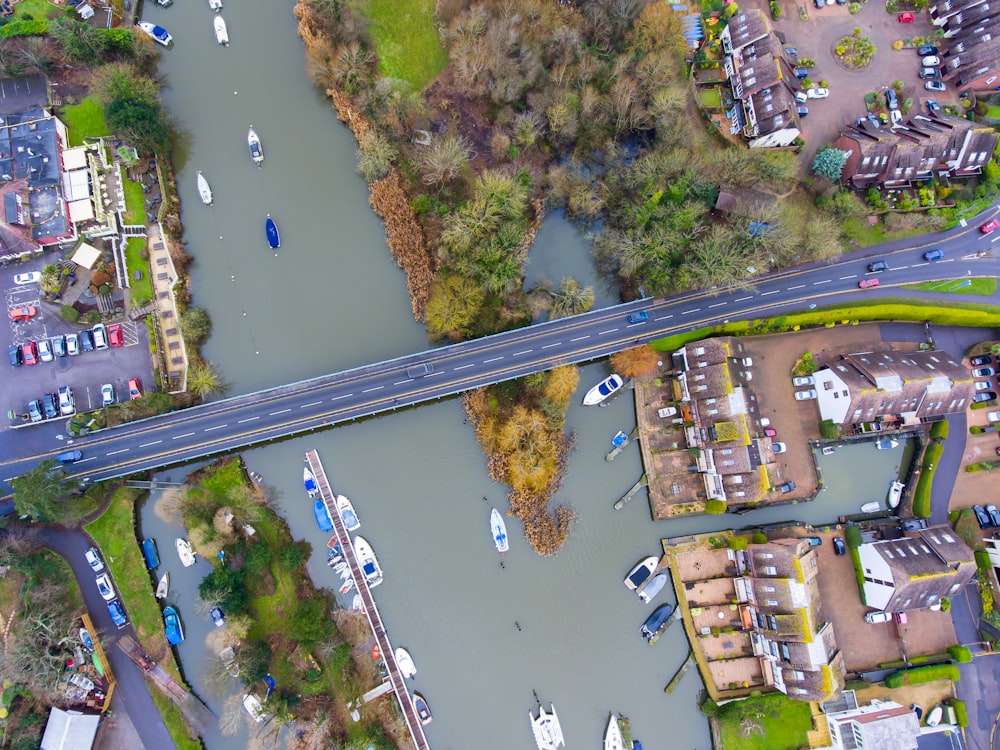 bird's eye view of gray road