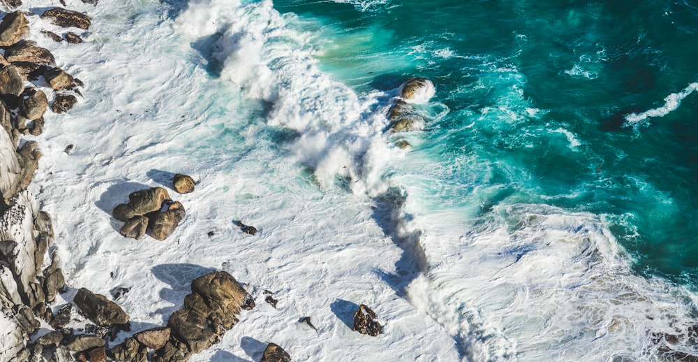 aerial photography of seashore